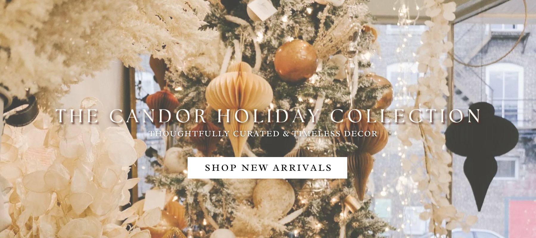 Holiday Collection 2025