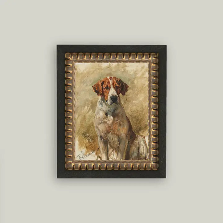 Study of A Hound