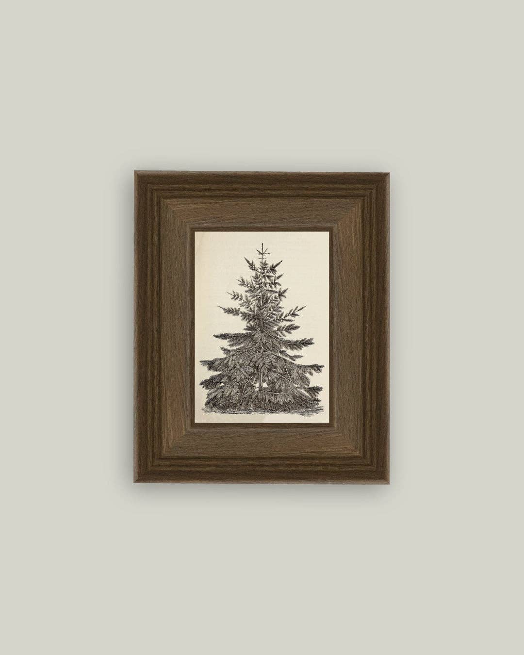 Vintage Pine Tree Framed Antique Art