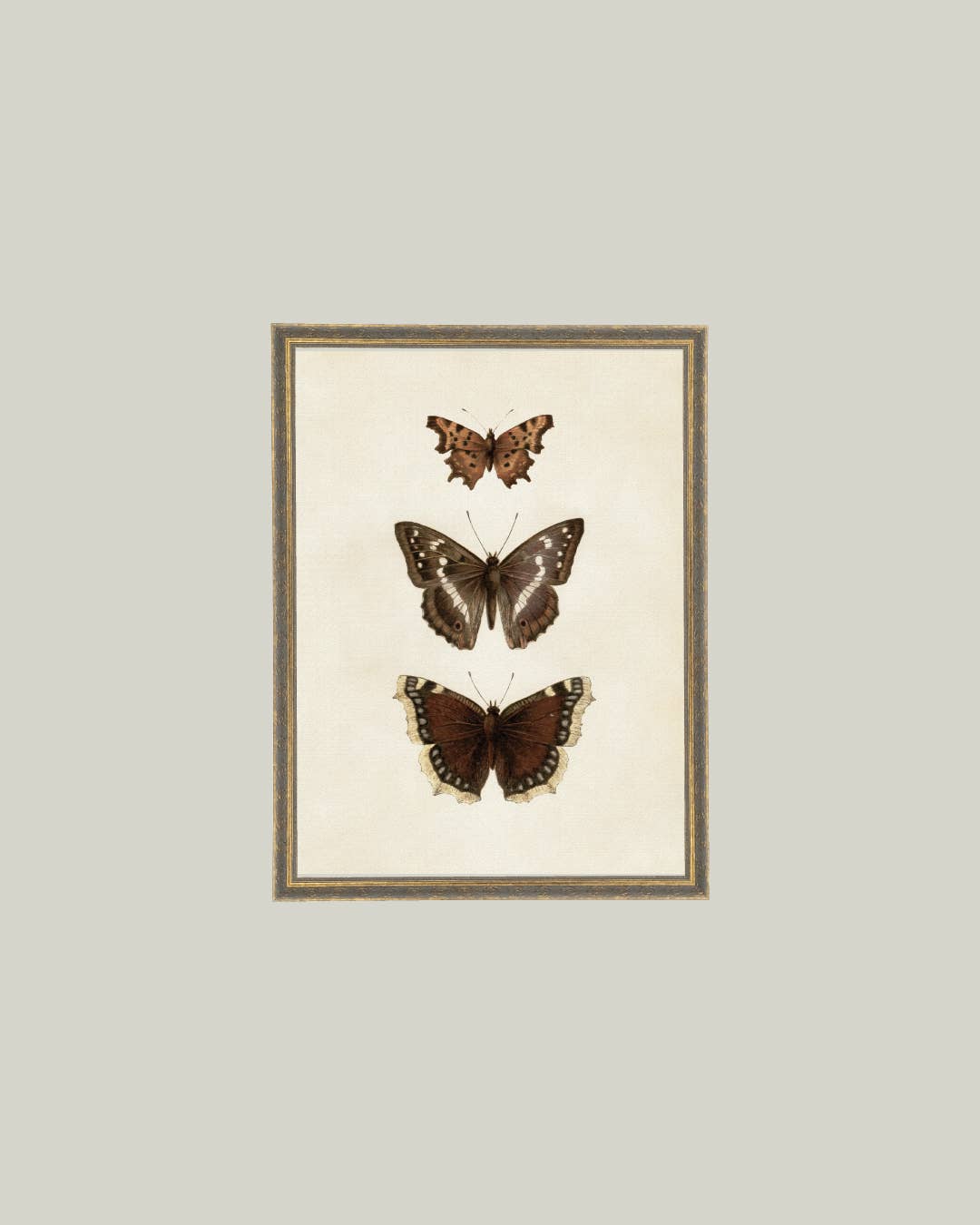 Three Butterflies Framed Antique Art