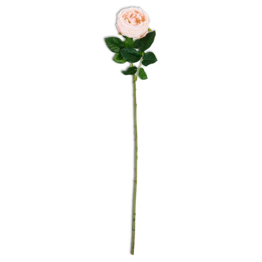 Real Touch Austin Rose