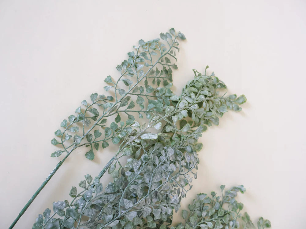 Coriander Stem
