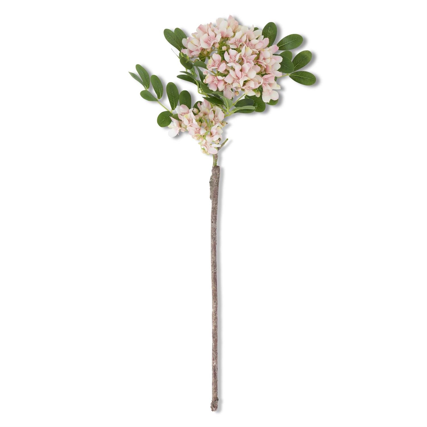 Mountain Laurel Stem