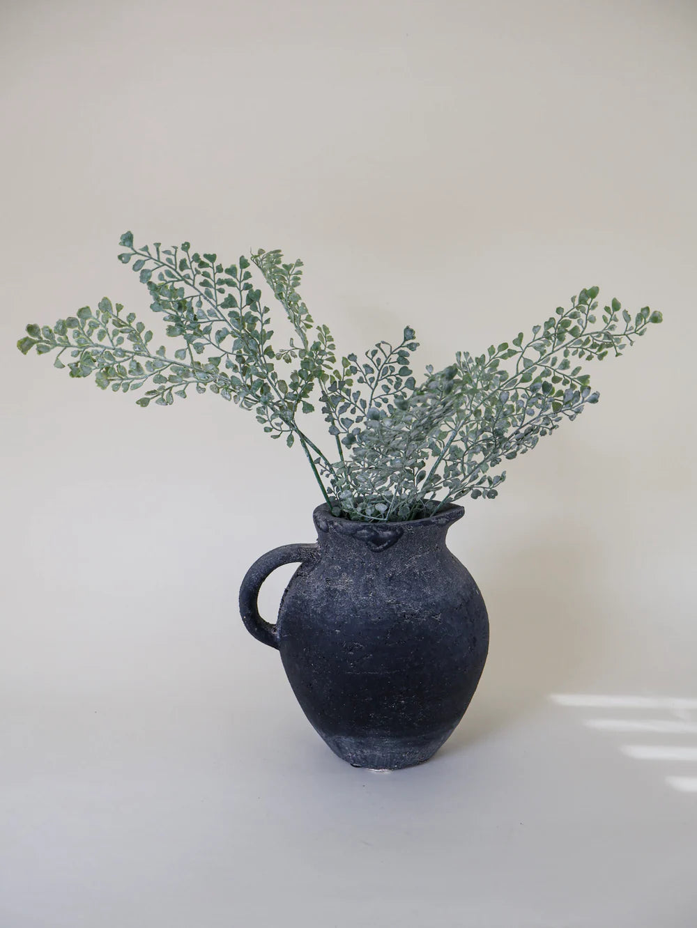 Coriander Stem