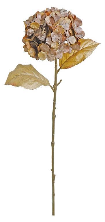 Shimmer Hydrangea