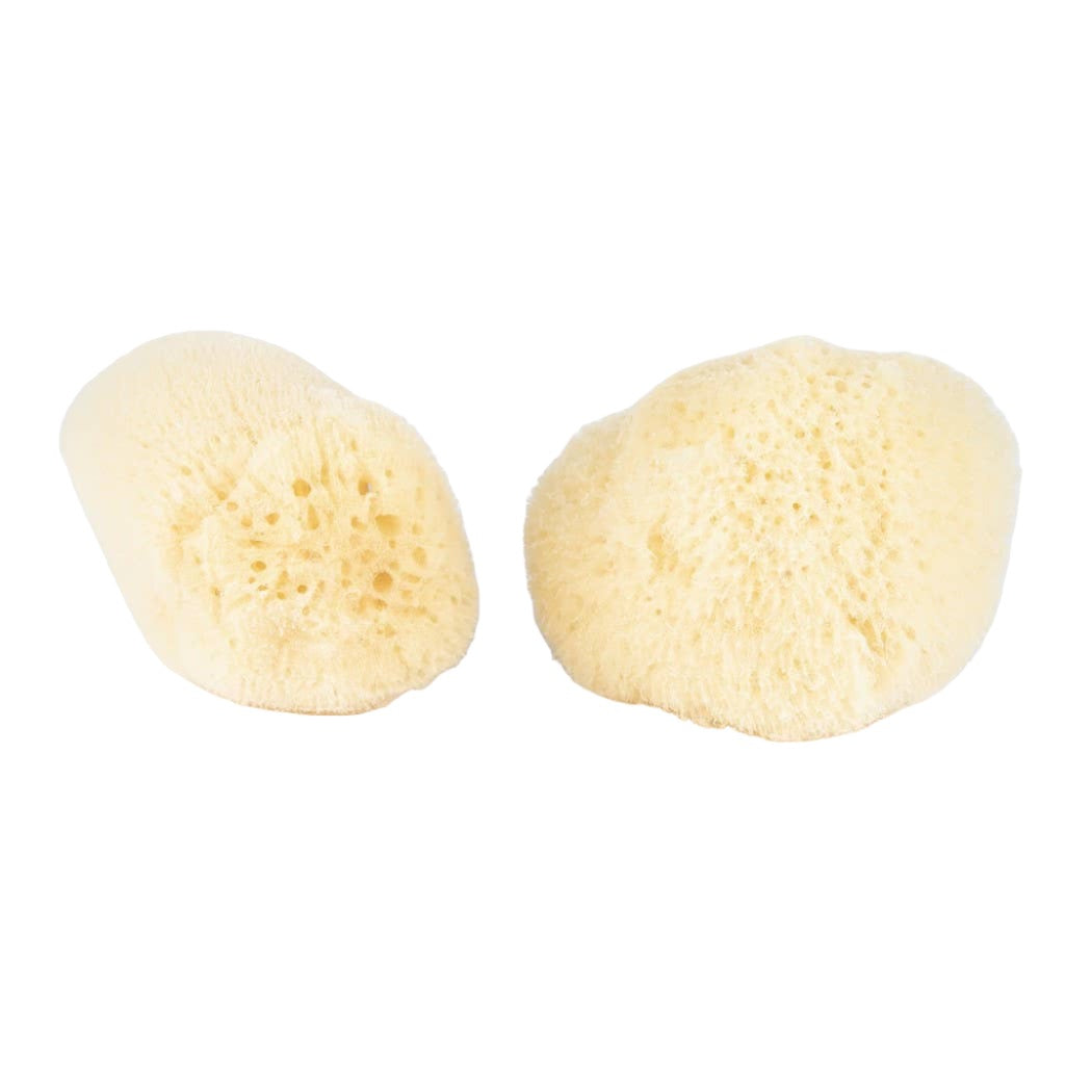 Facial Silk Sponge