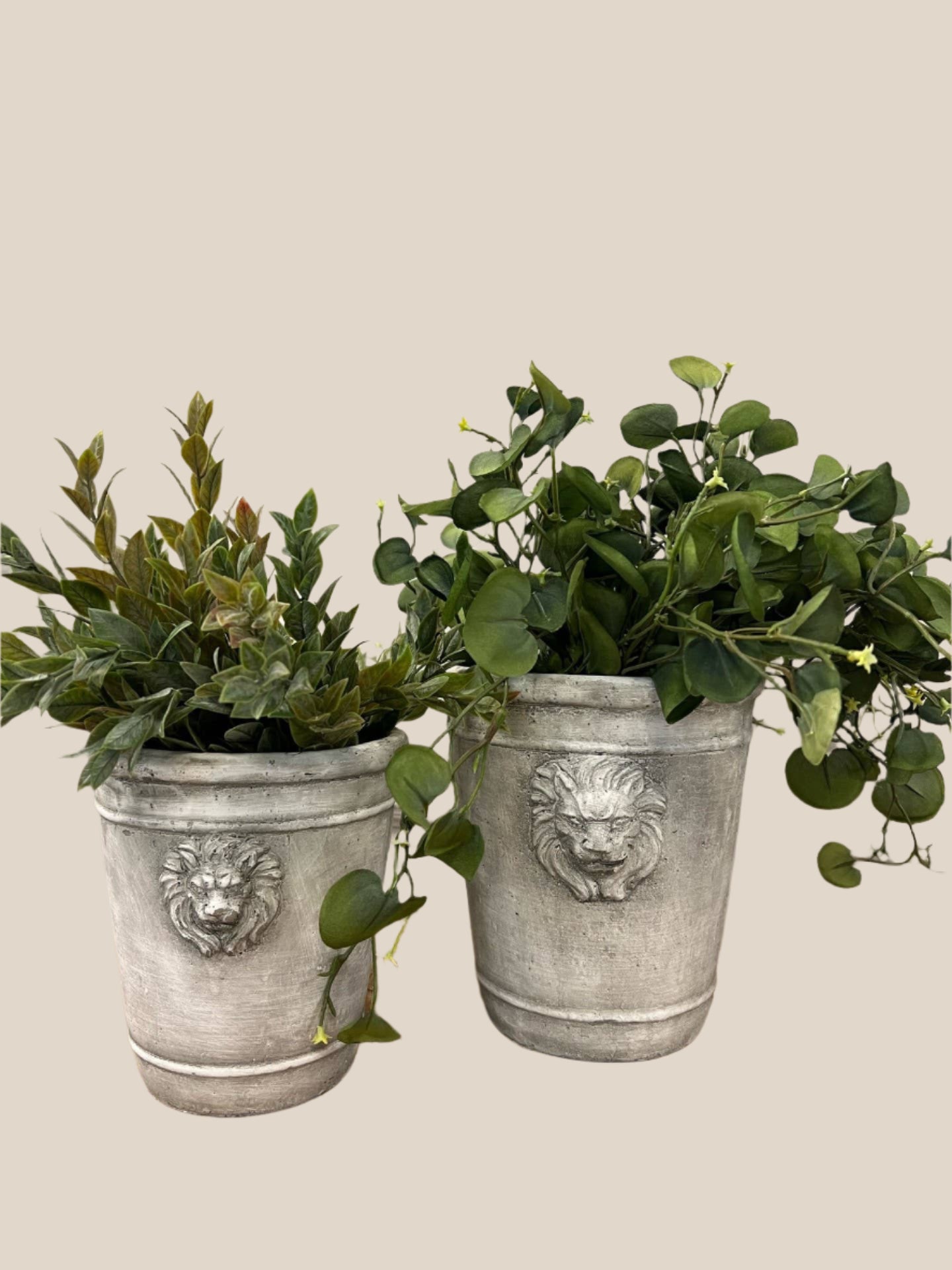 F-Cement Lion Planter Tall