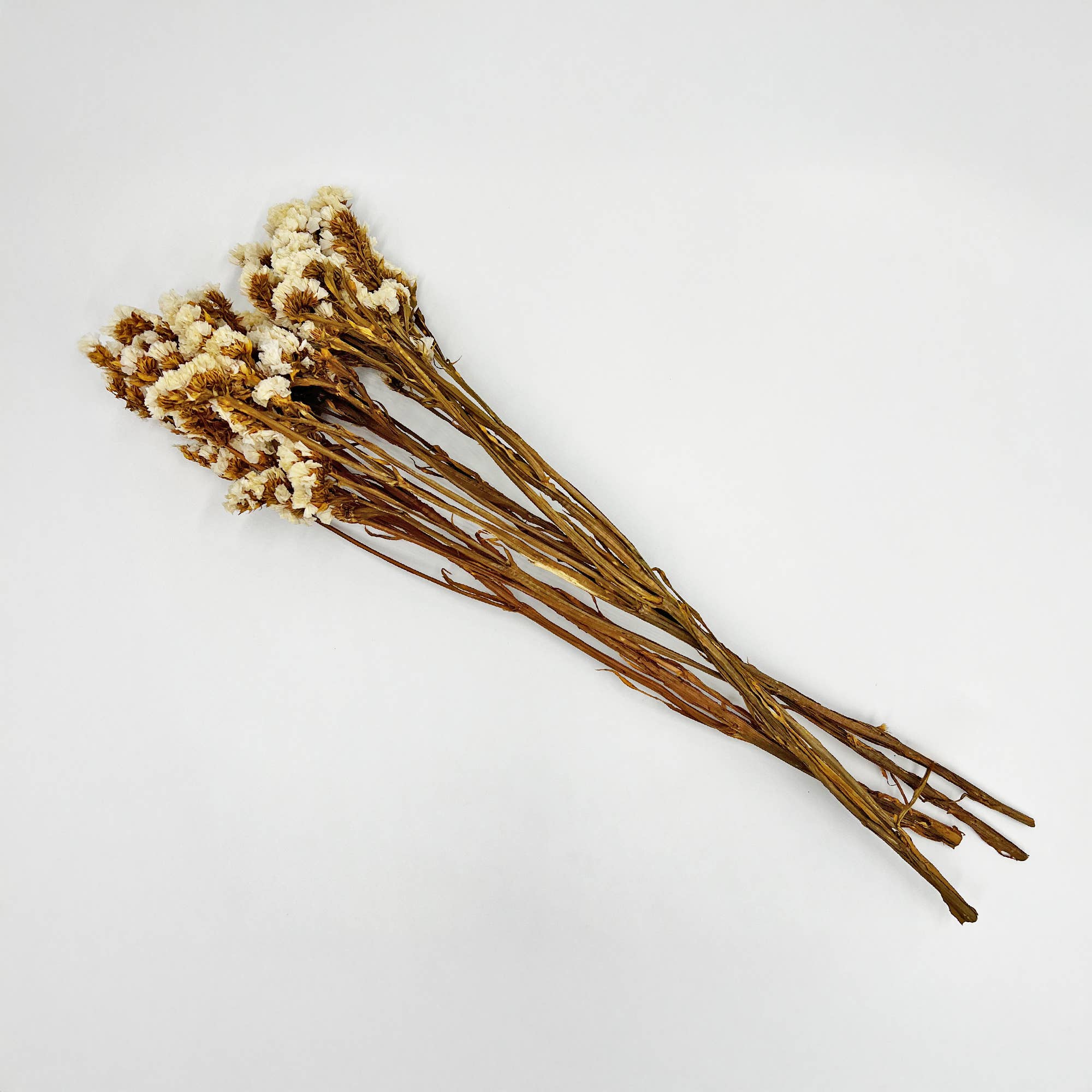 Dried Myosotis Bouquets