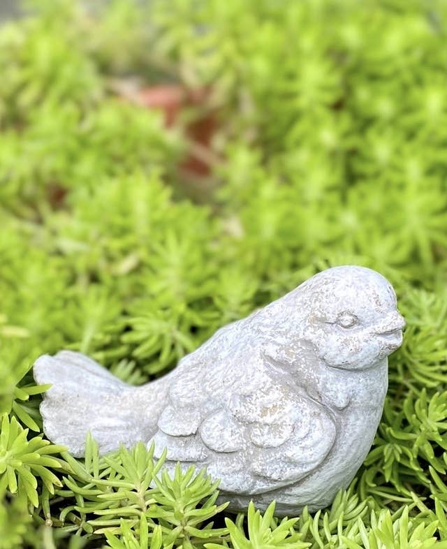 Cement Bird