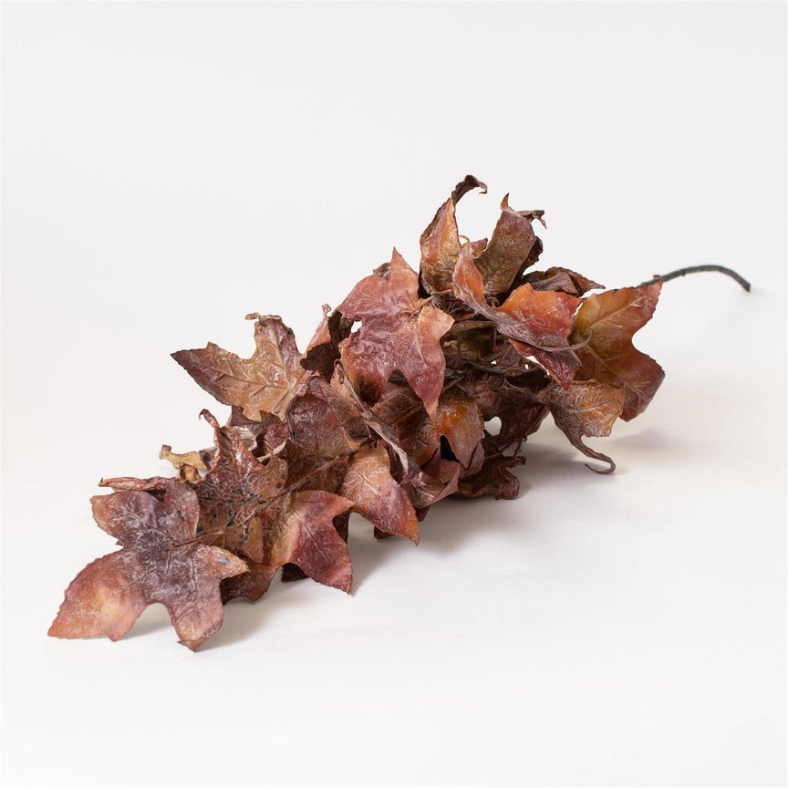 Dried Maple Leaves
