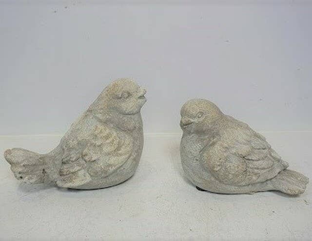 Cement Bird
