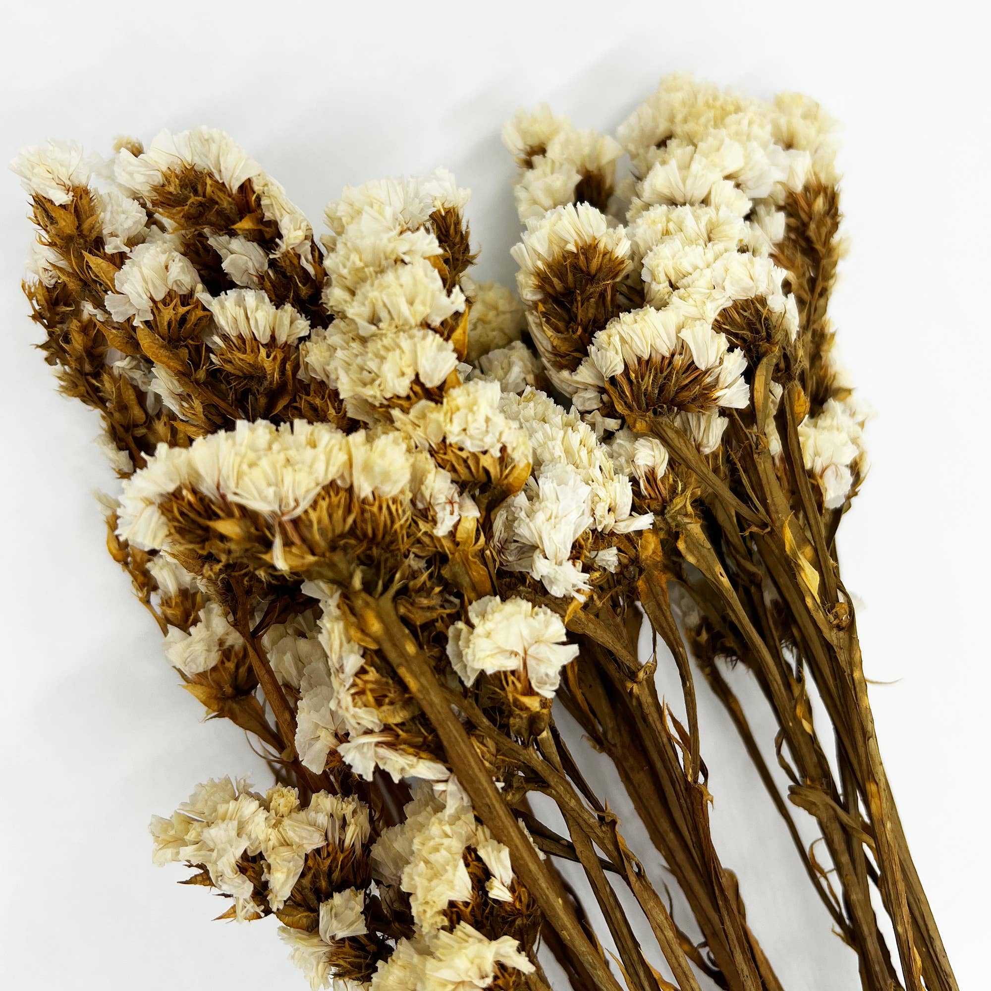 Dried Myosotis Bouquets