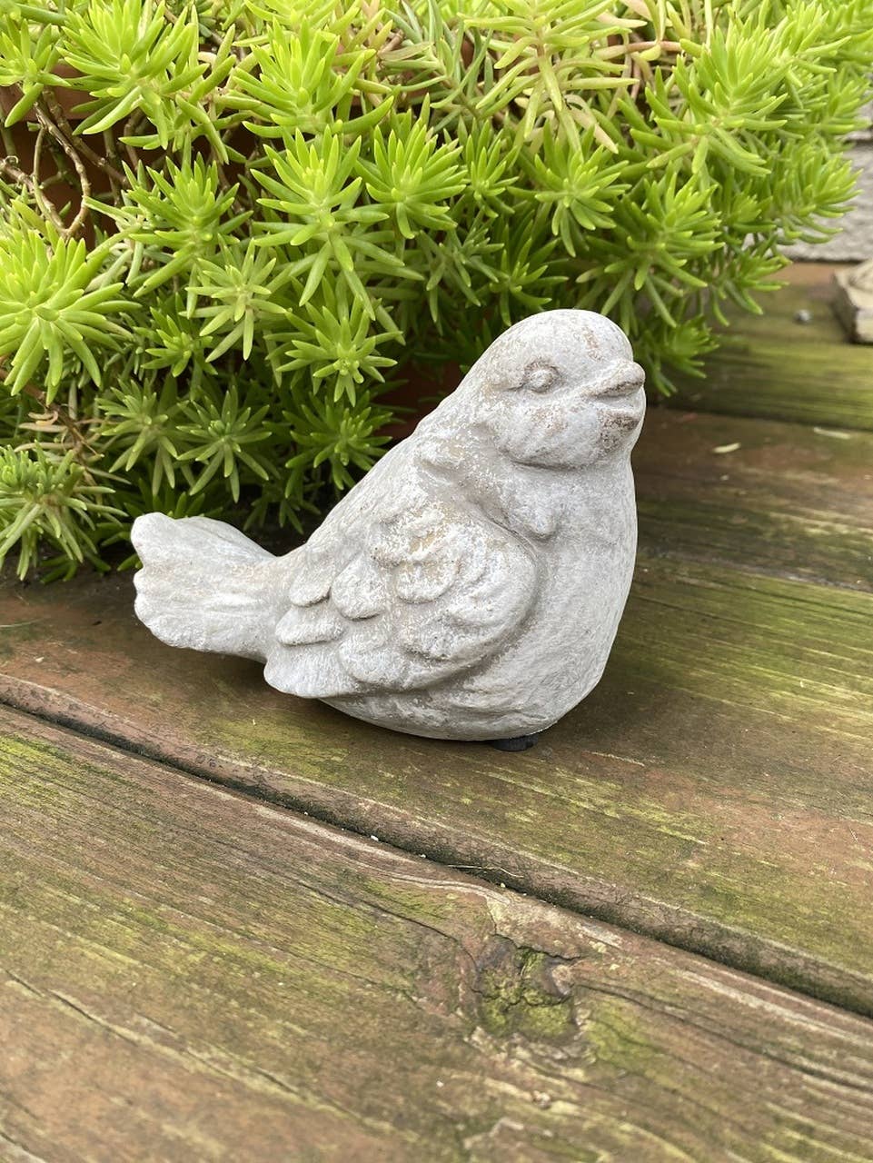 Cement Bird
