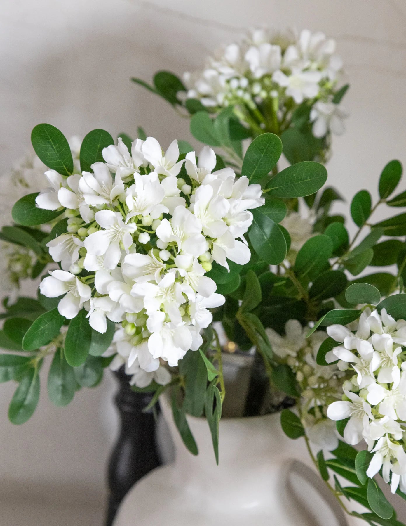 Mountain Laurel Stem