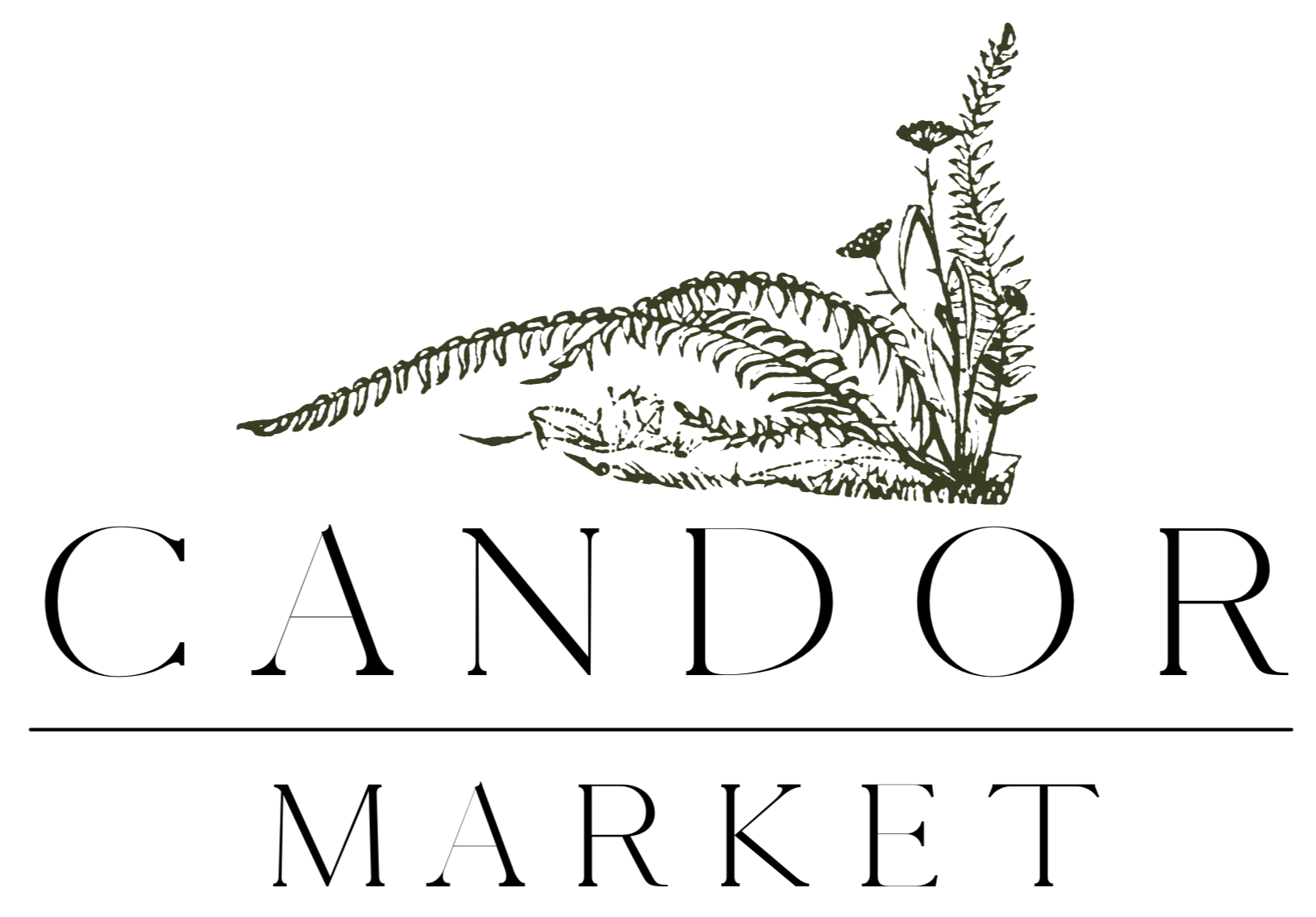 Candor Market logo