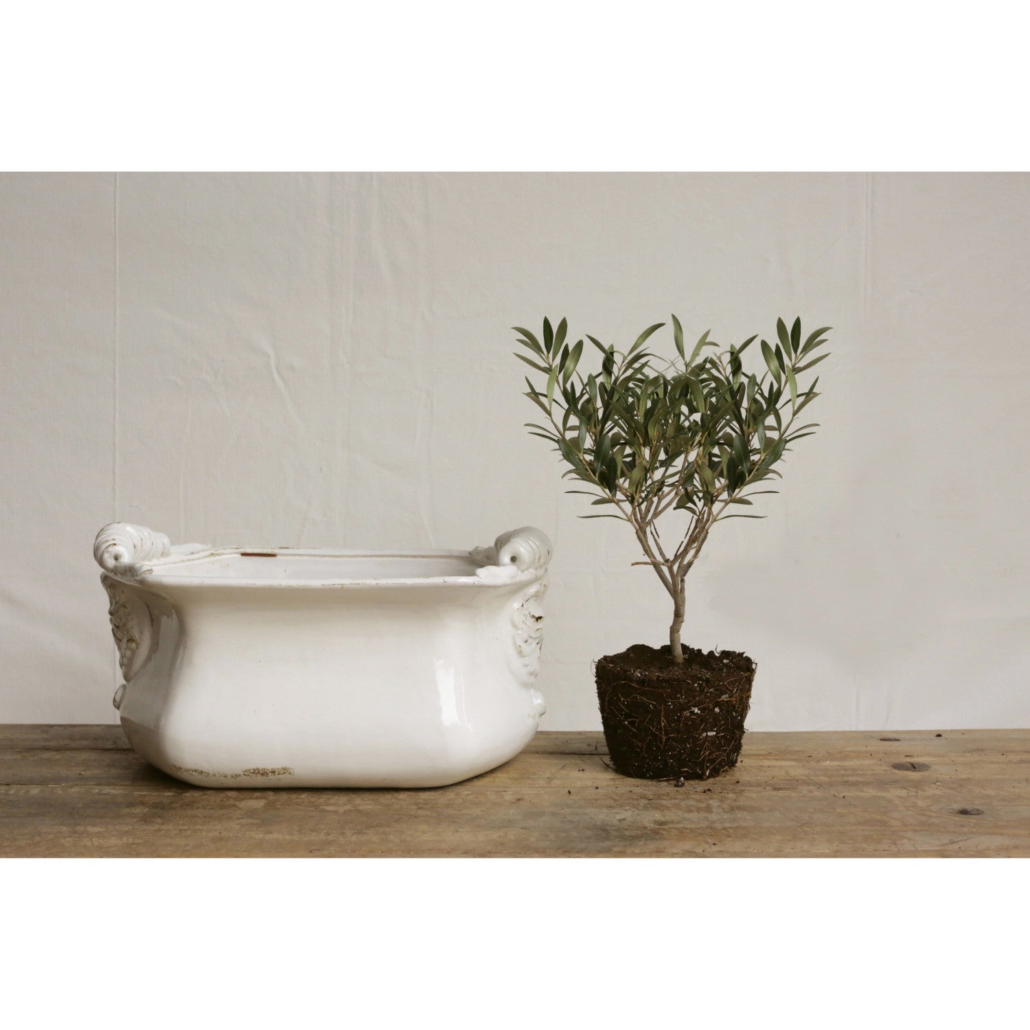 Terra-cotta Cachepot