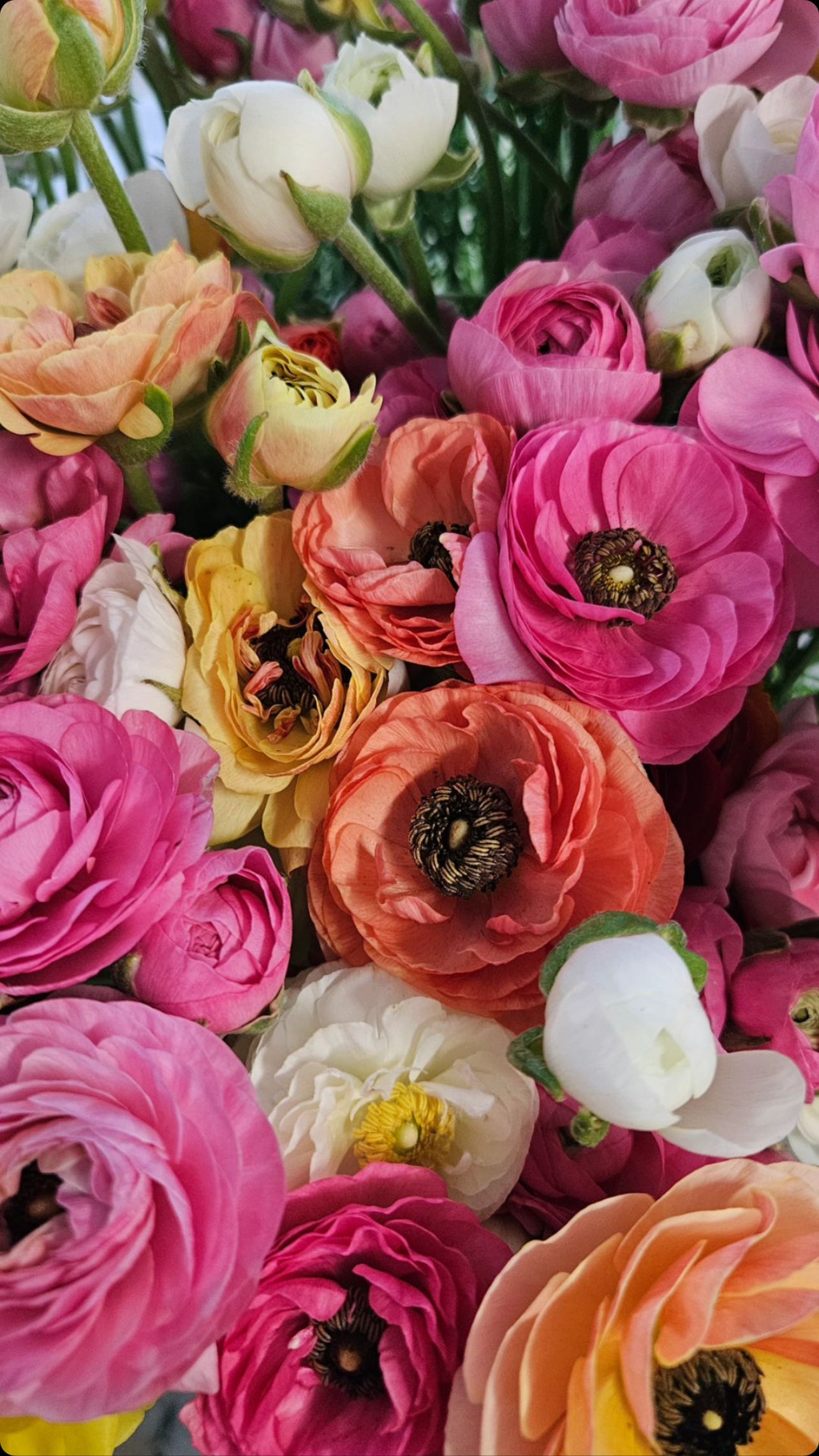 Fresh Flower Bouquet from Momo's Farm