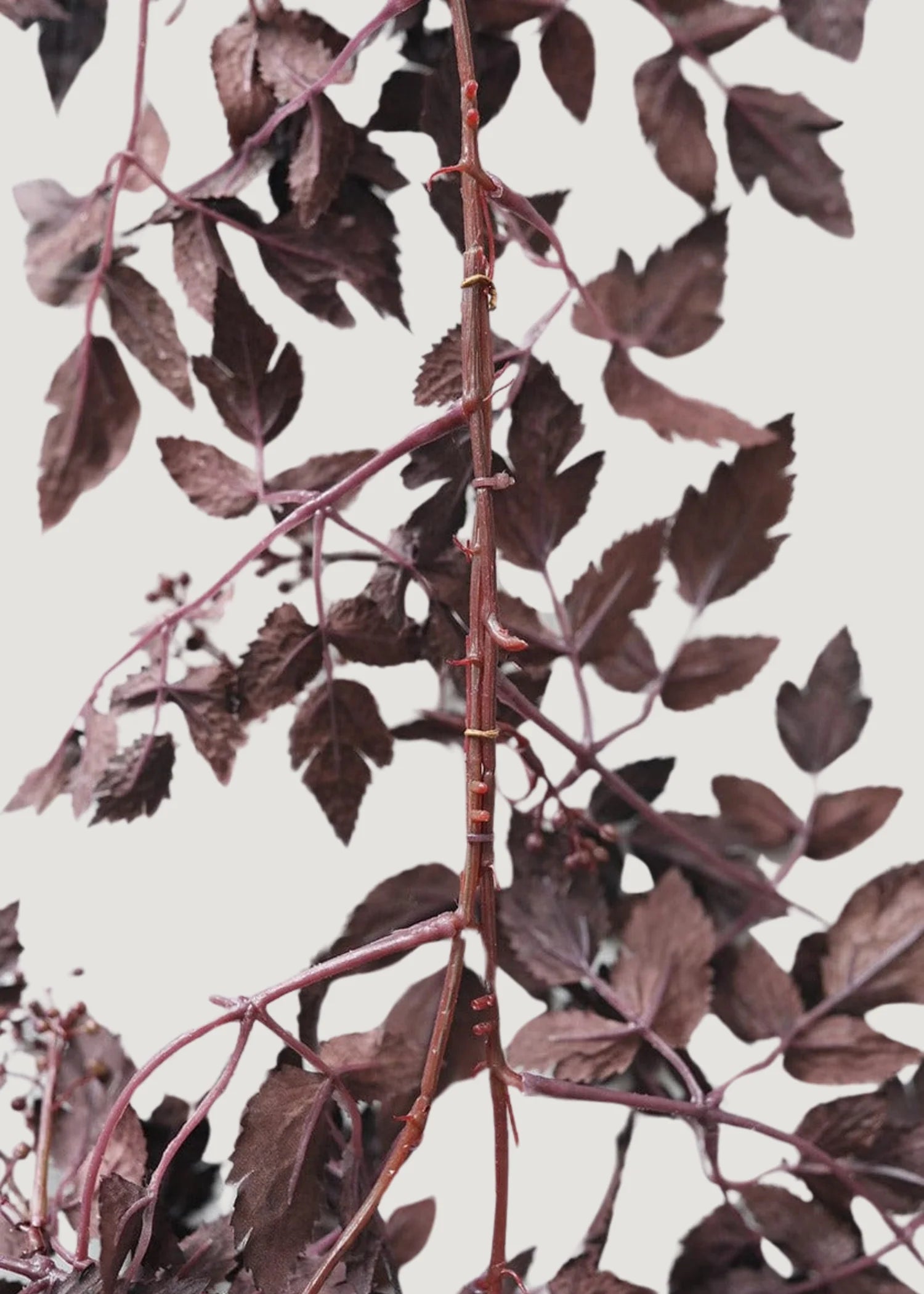 Plum Faux Ramosa Garland