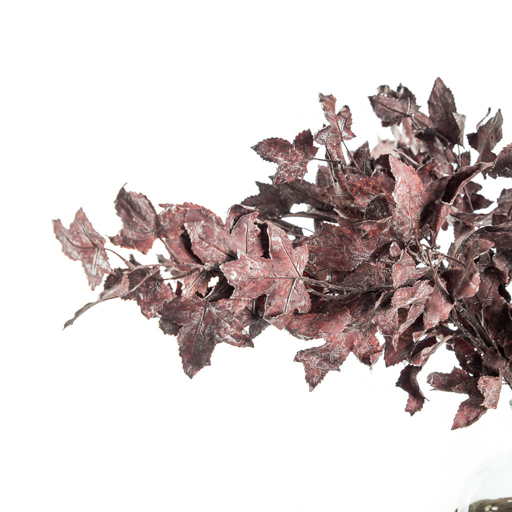 Maple Leaf Branch