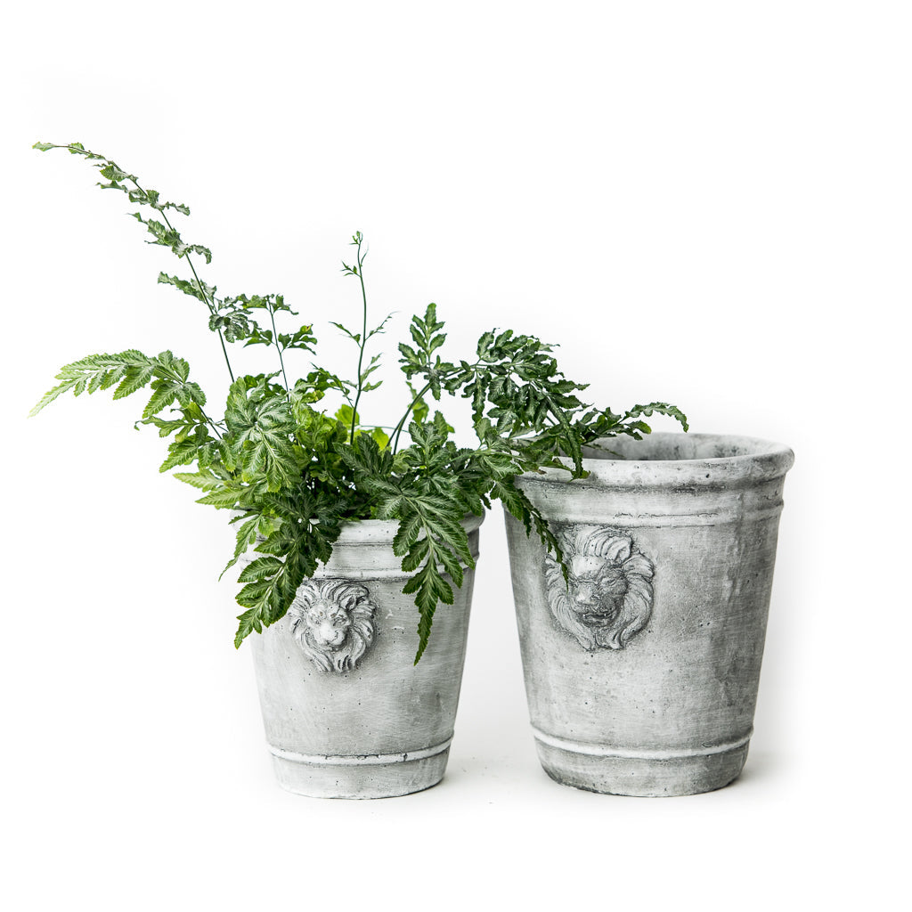 F-Cement Lion Planter Tall