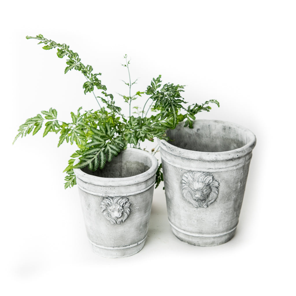F-Cement Lion Planter Tall