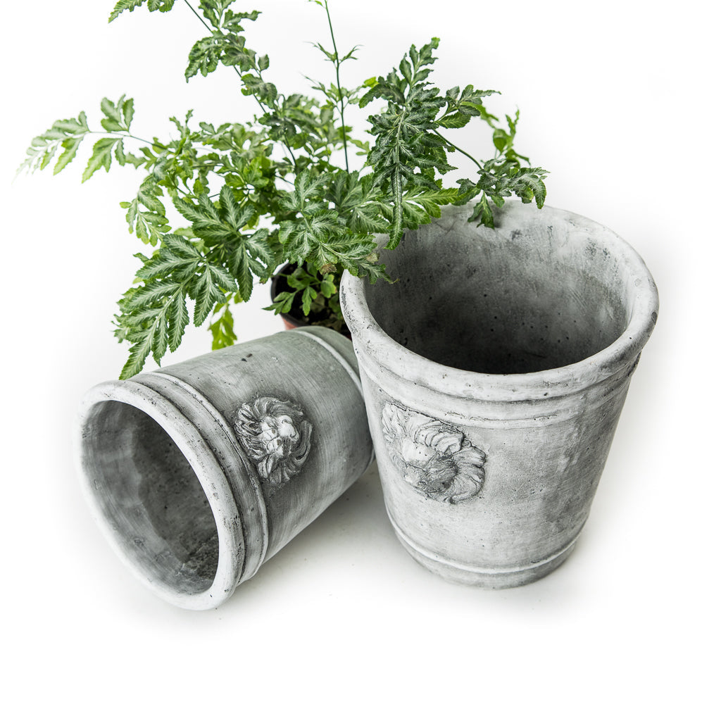 F-Cement Lion Planter Tall