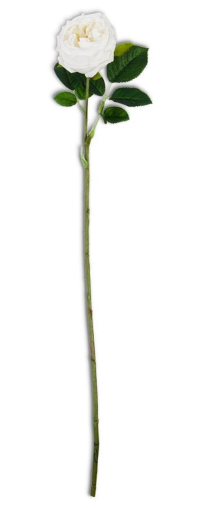 Real Touch Austin Rose