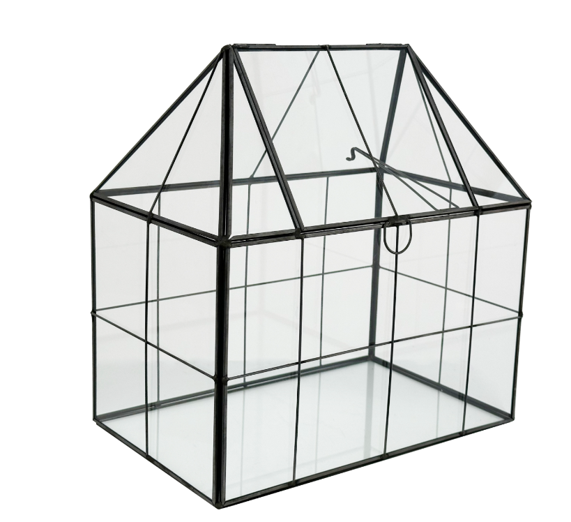Glass & Metal Greenhouse