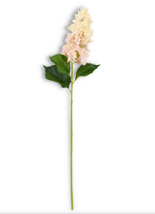 Hydrangea Stem