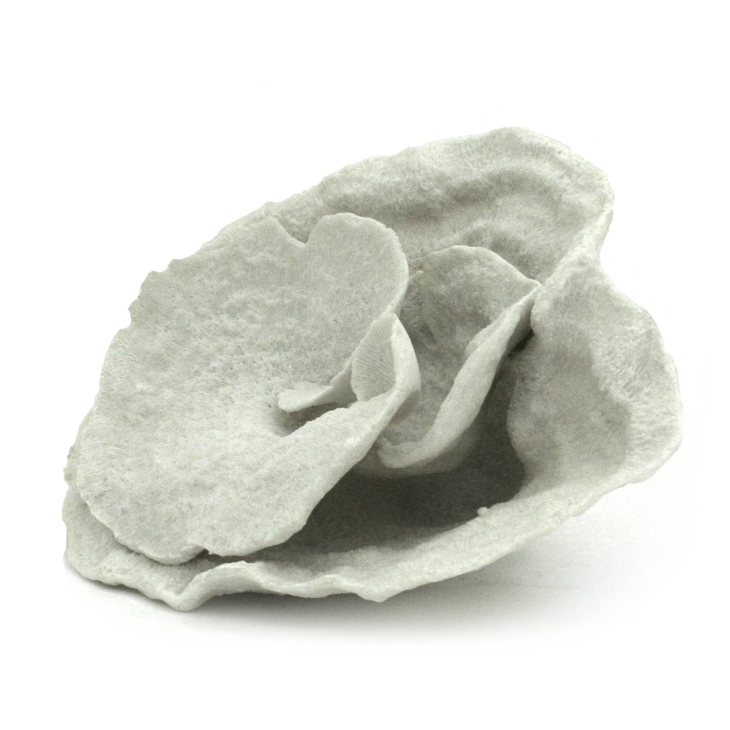 Faux White Montipora Coral