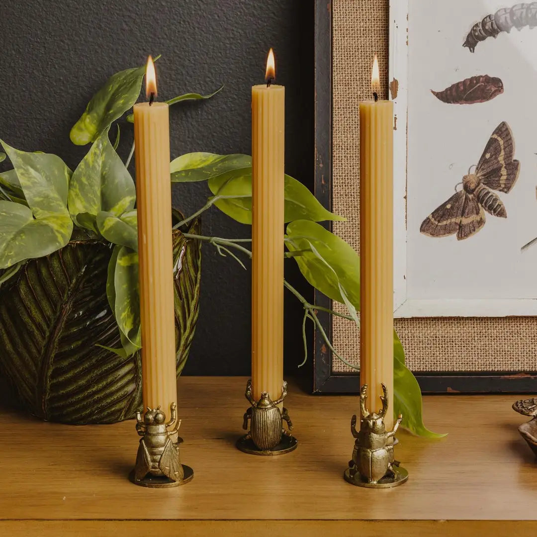 Gold Bug Taper Candle Holders