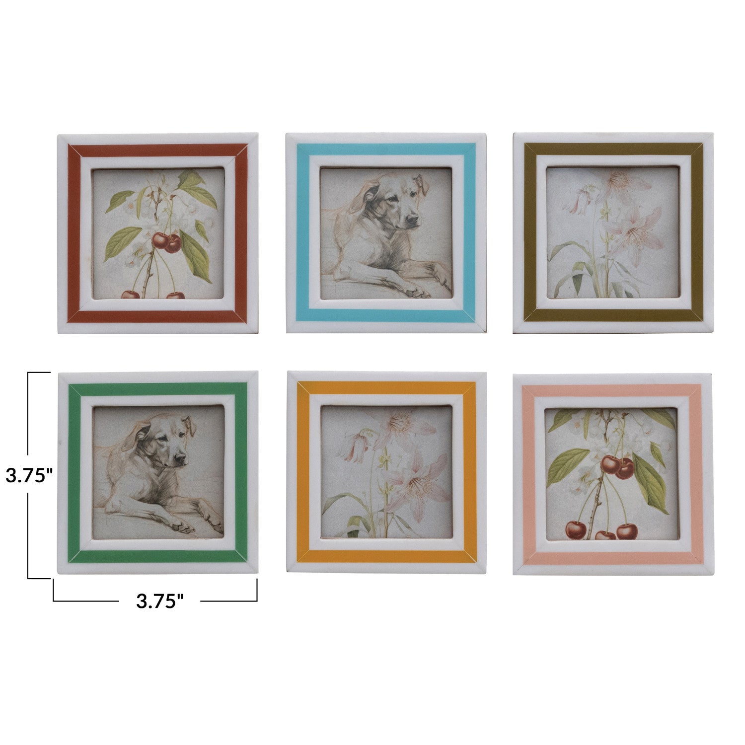 Striped Frame Magnet