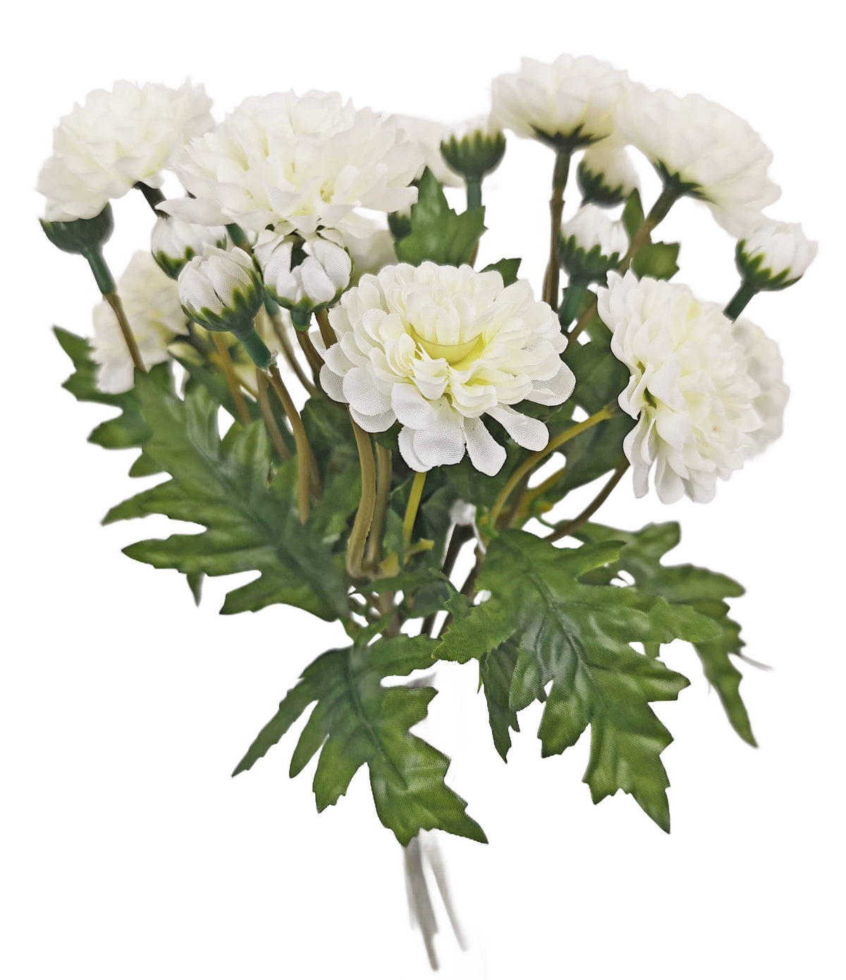 Wild Mum Bundle