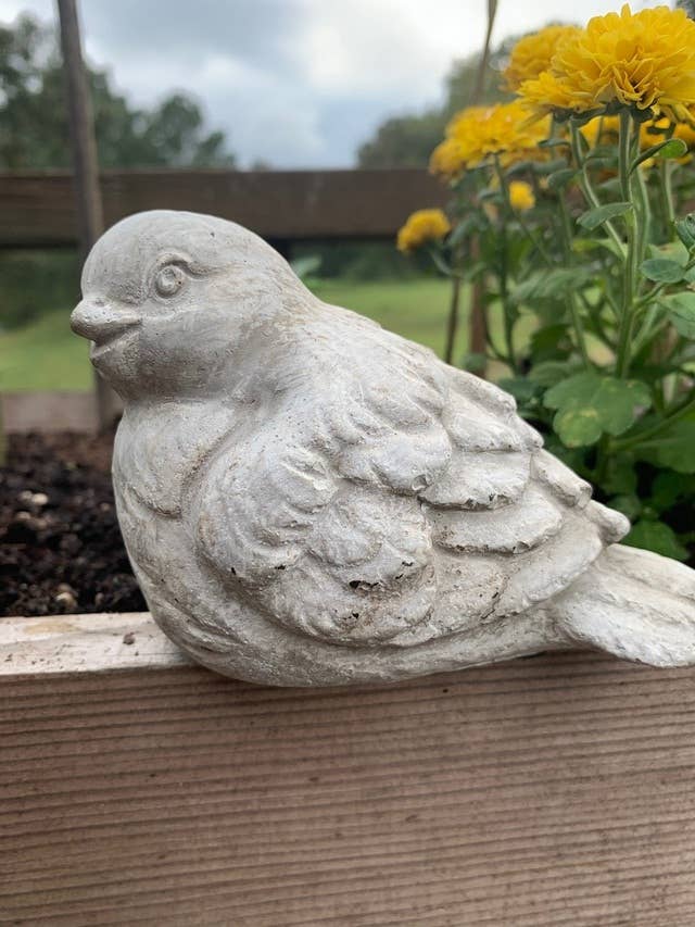 Cement Bird