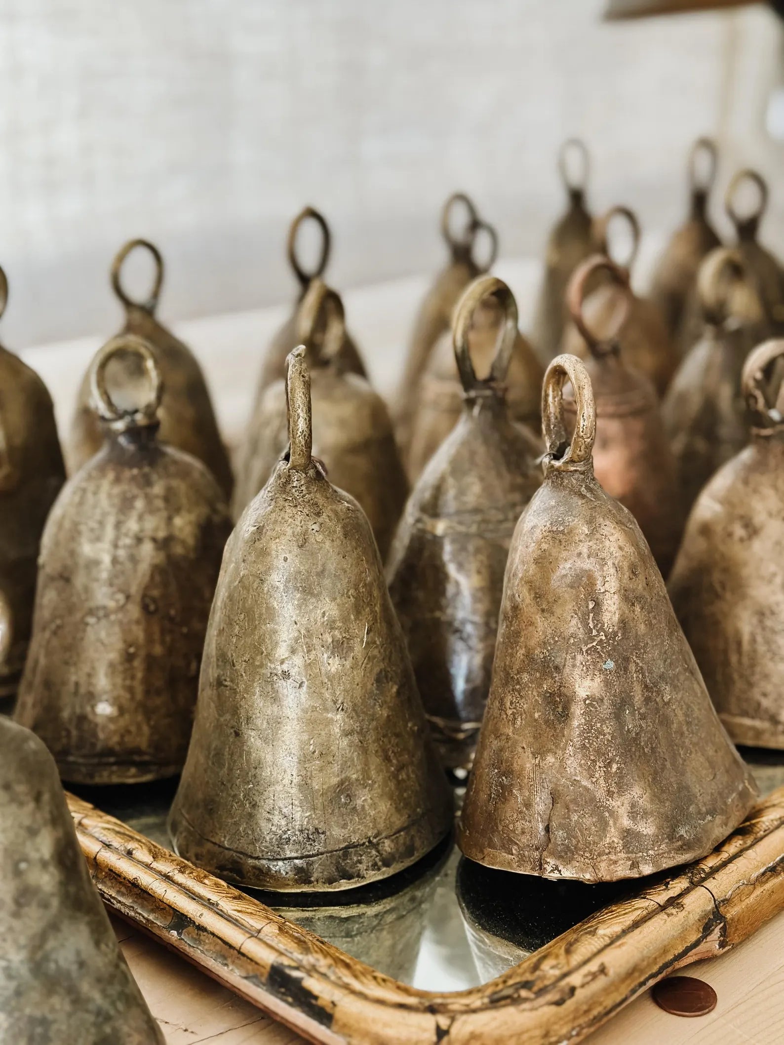 shepard celebration bells
