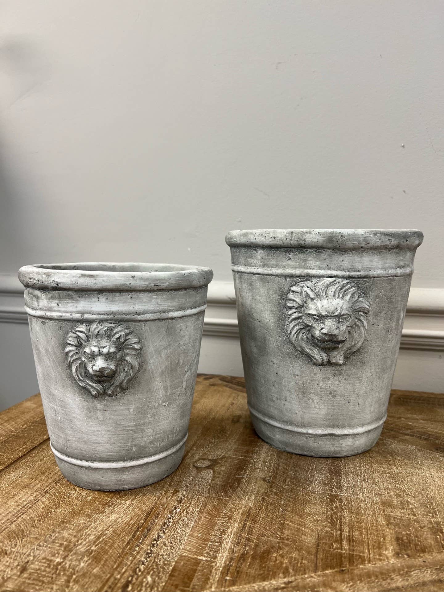 Cement Lion Planter Tall