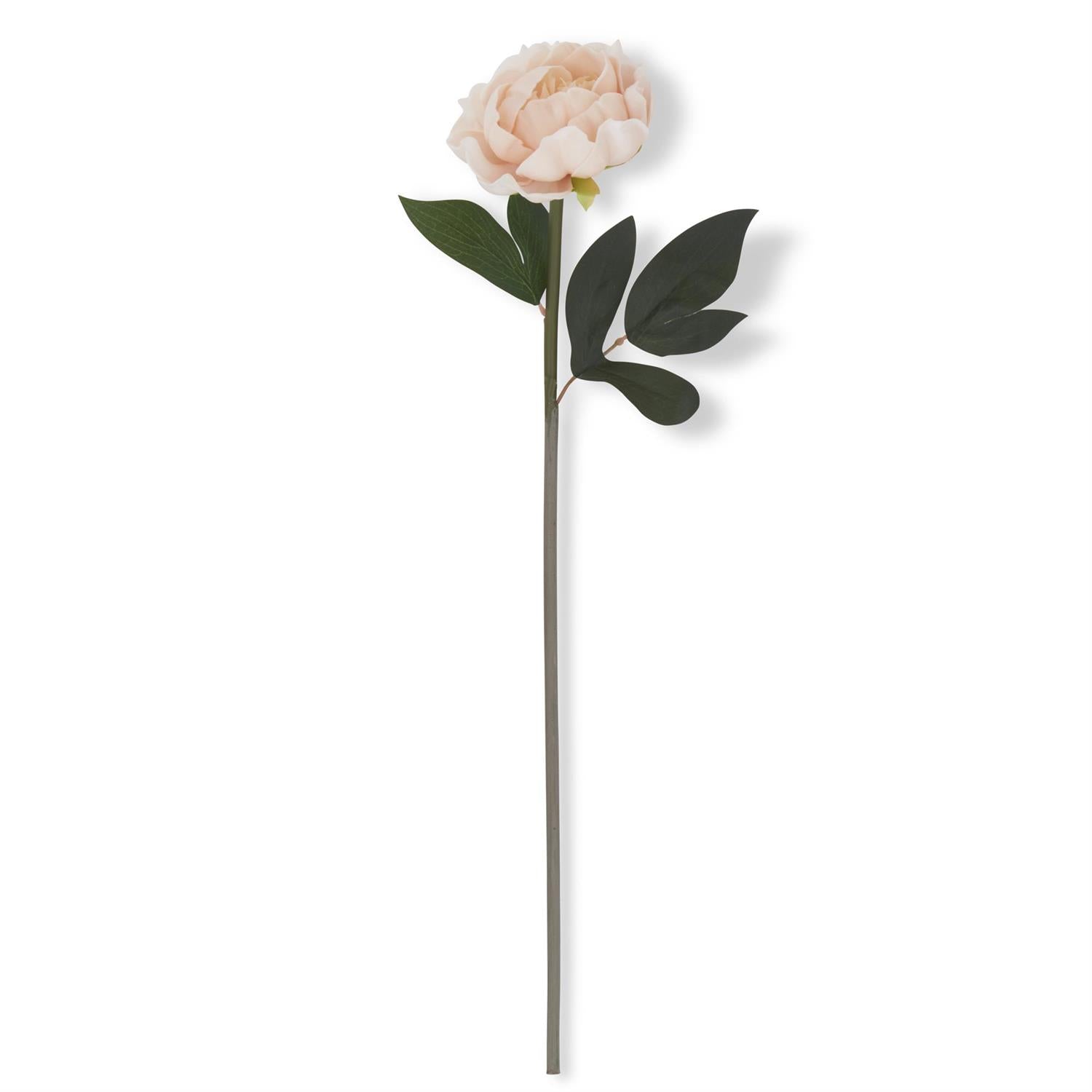 Real Touch Peony Stem