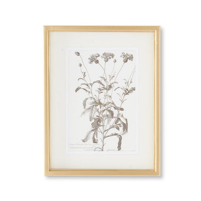 Gold Botanical Print