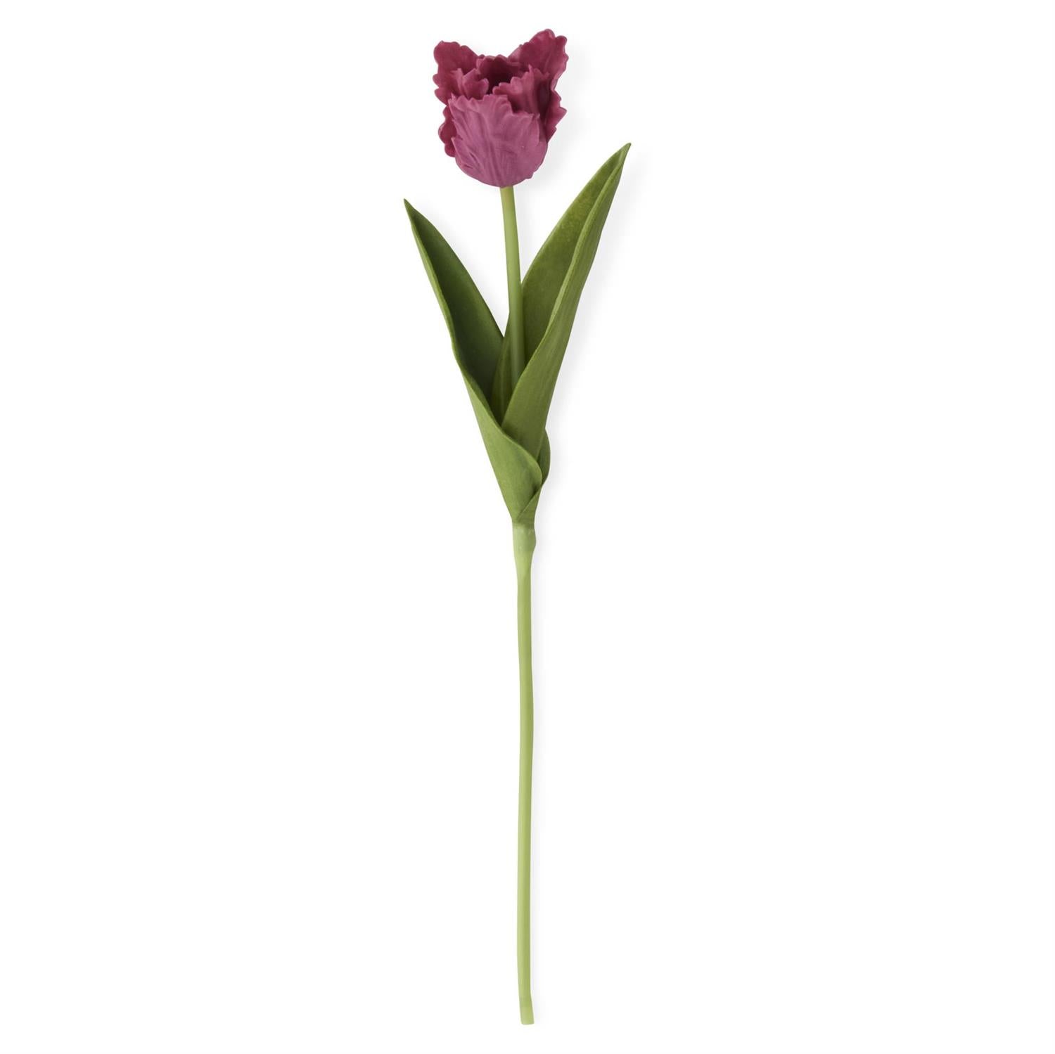 Real Touch Parrot Tulip