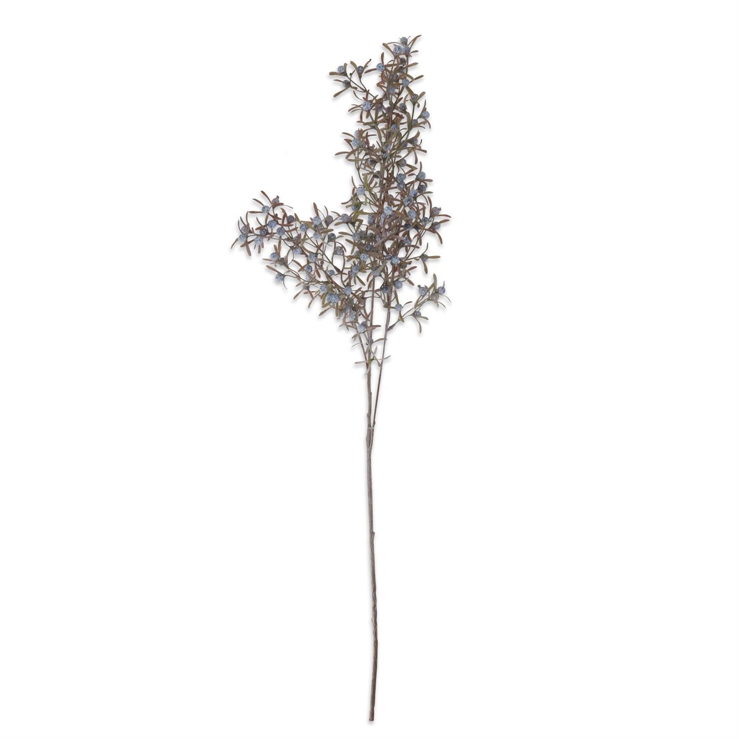Blue Berry Spray