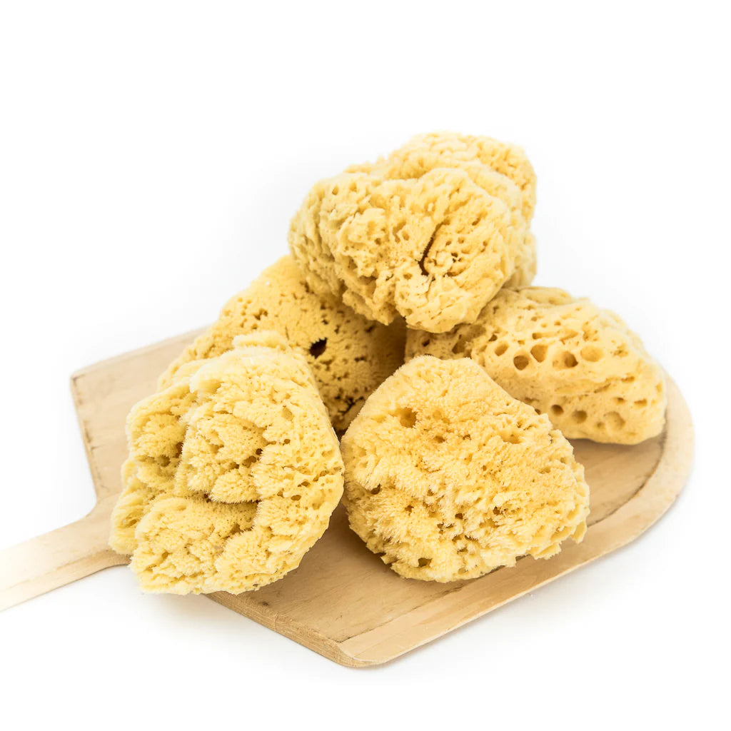 Facial Silk Sponge