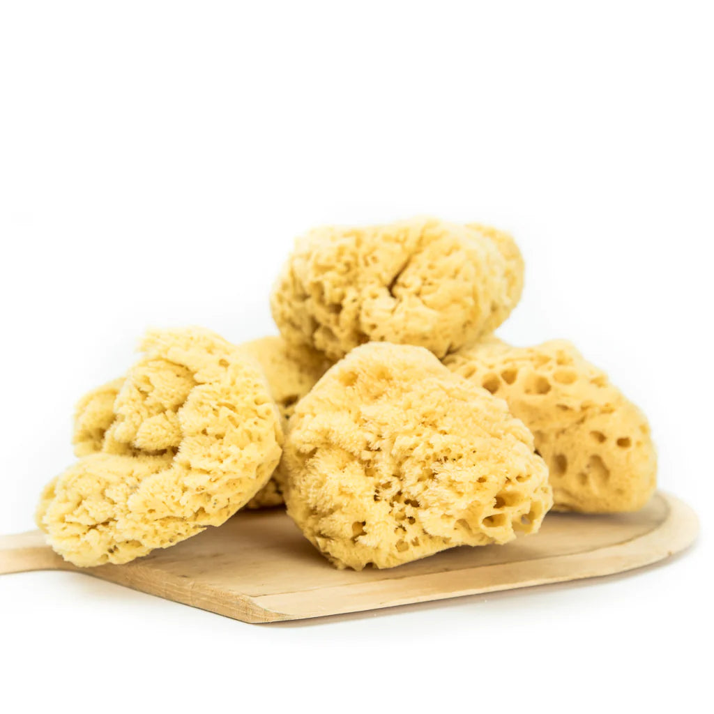 Facial Silk Sponge