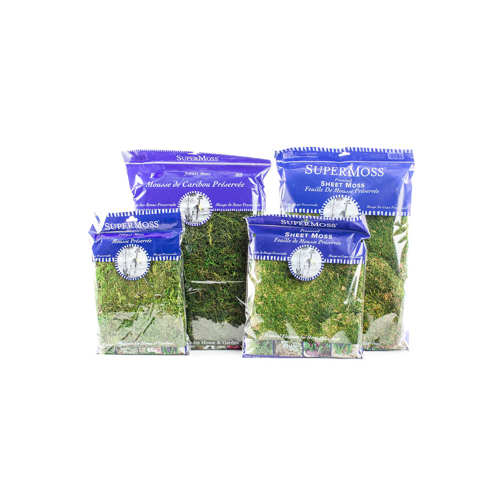 Preserved Sheet Moss