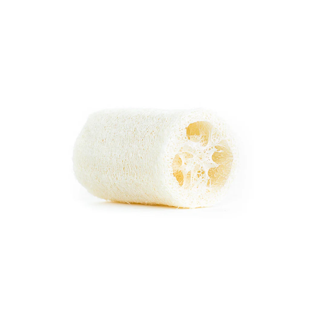 Natural Loofah Sponge