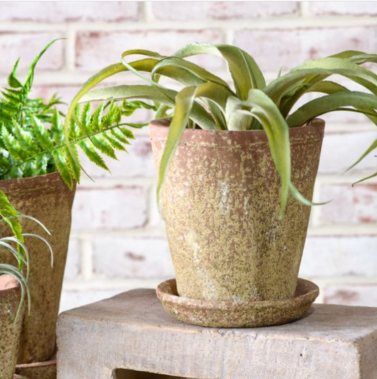 distressed plant pots DISTRESSED POT 4.75"