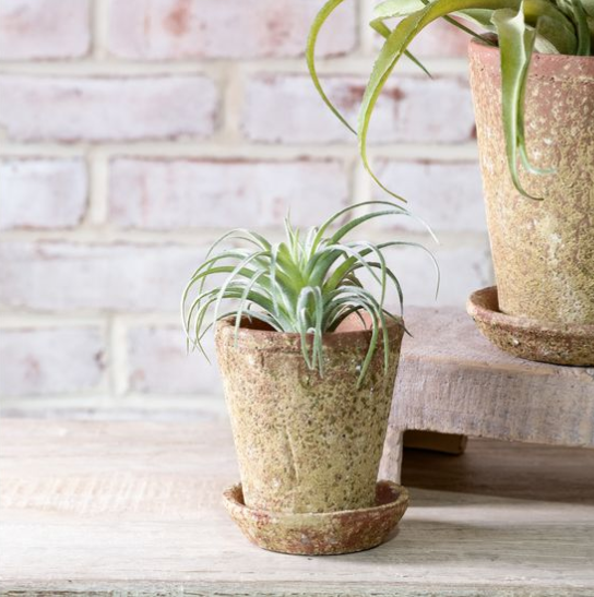 distressed plant pots DISTRESSED POT 4.75"