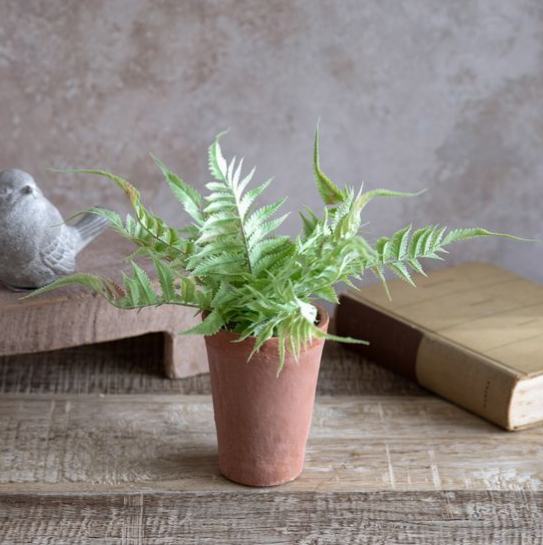 Faux Fern in Terracotta Pot