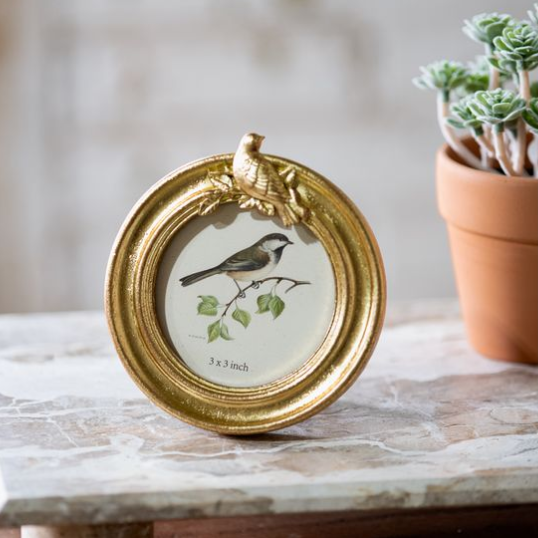 Gold Accent Frame