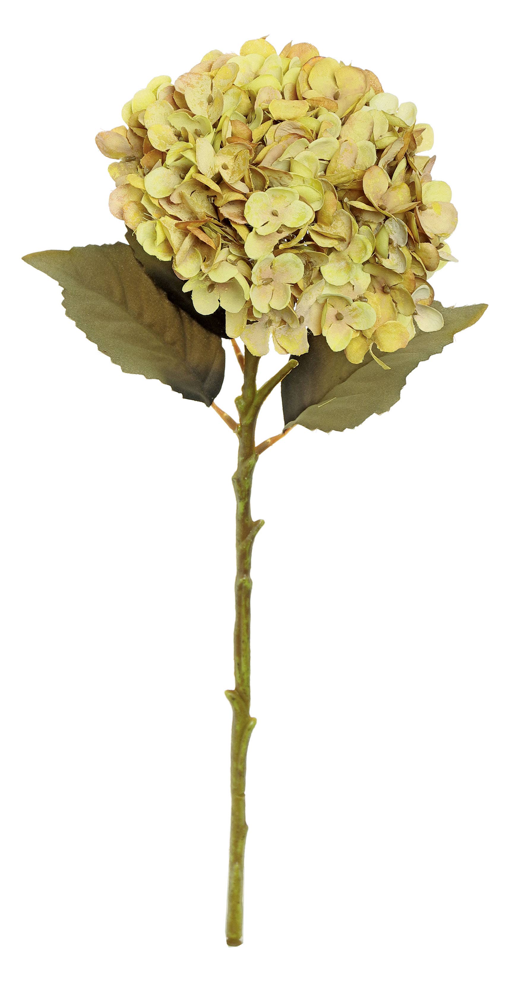 Harvest Hydrangea Spray Caramel