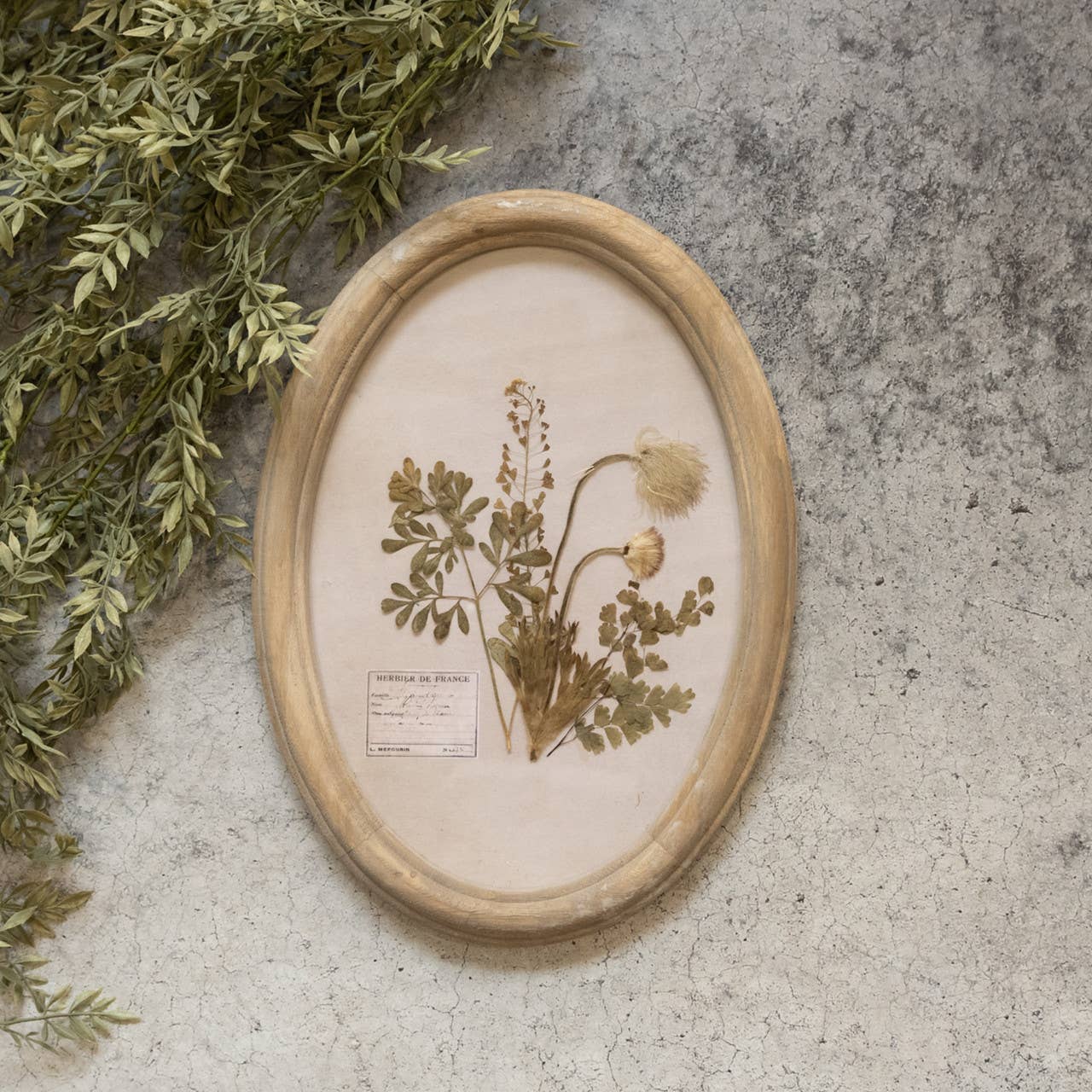 OVAL PRESSED FOLIAGE WALL FRAME